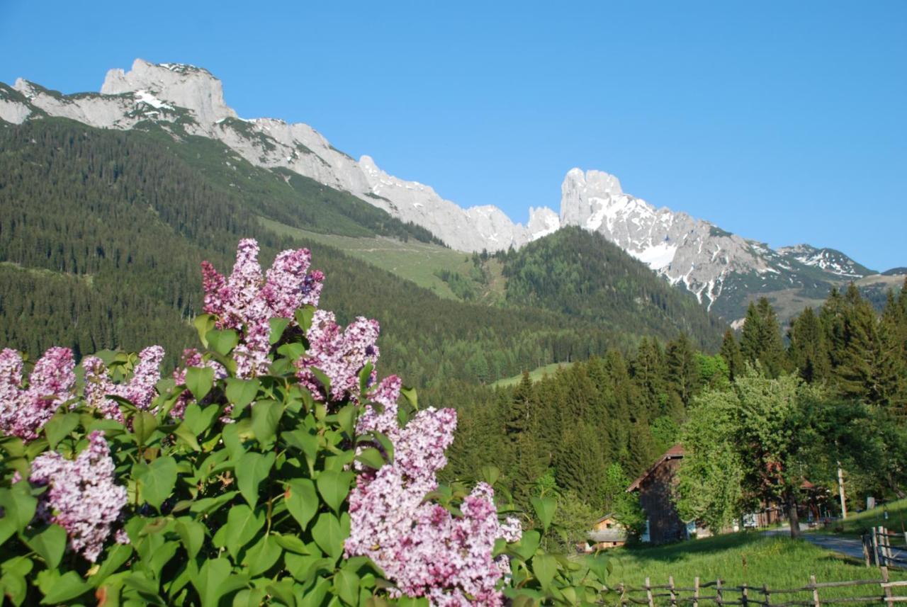 Alpenhaus Donnerkogel Annaberg im Lammertal Exterior foto